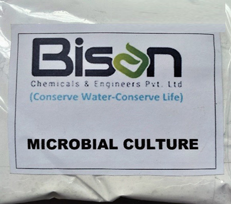 Microbial Culture